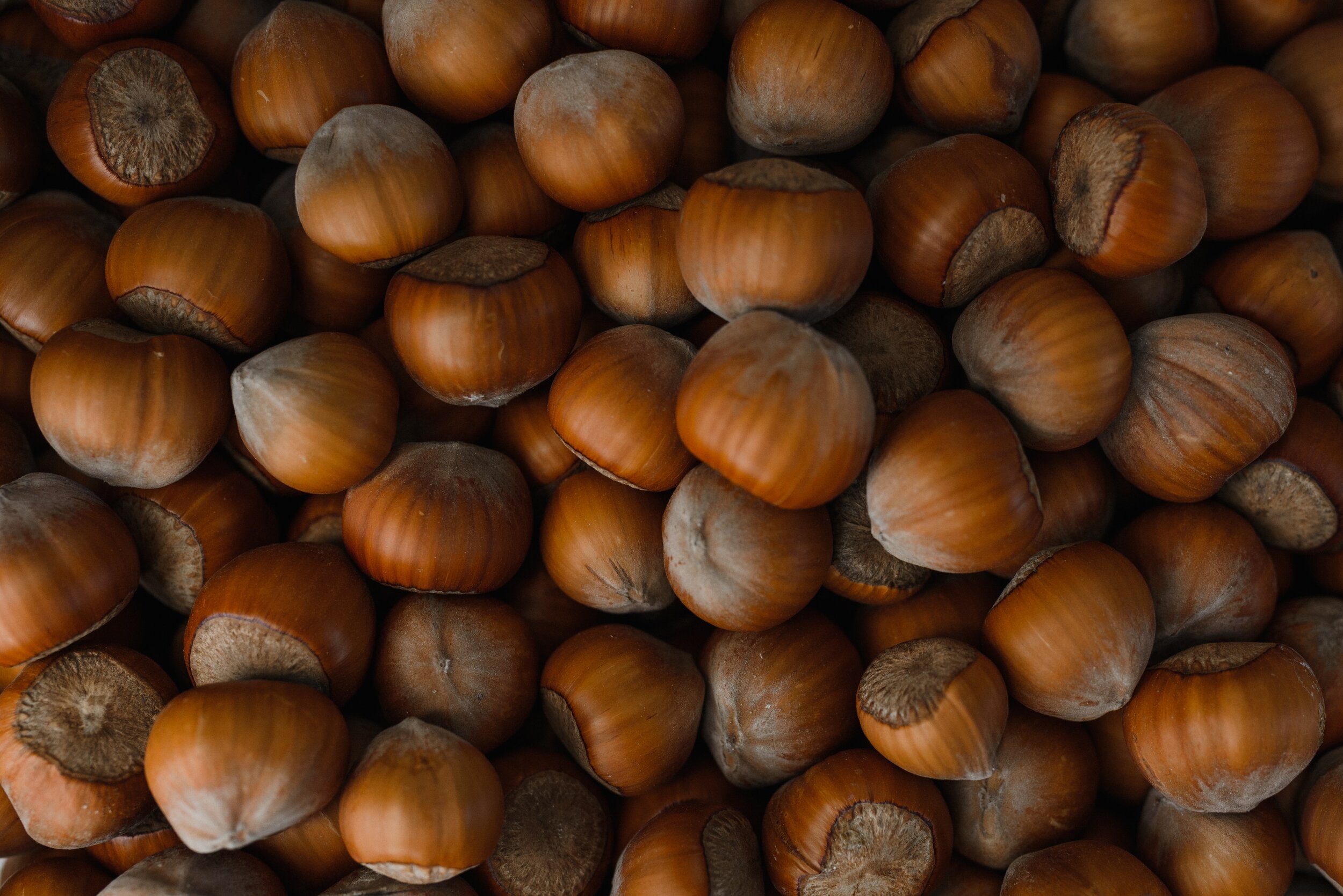 hazelnuts brown.jpg